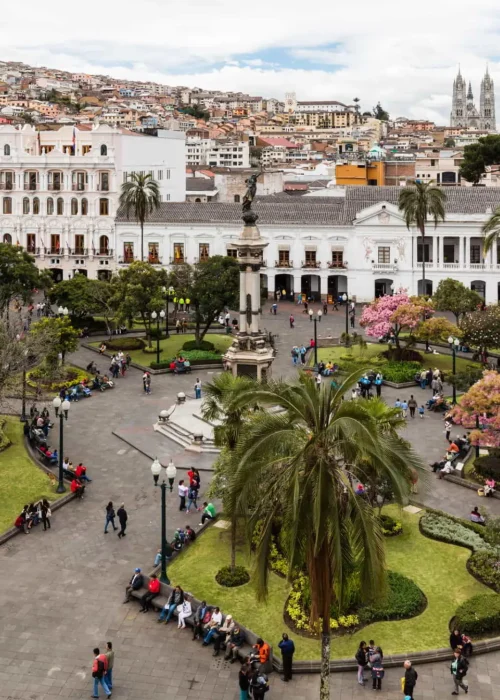plaza grande webp